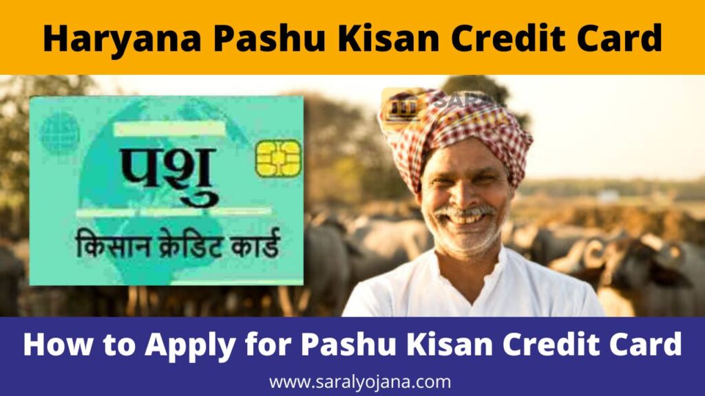 Haryana Pashu Kisan Credit Card application process
