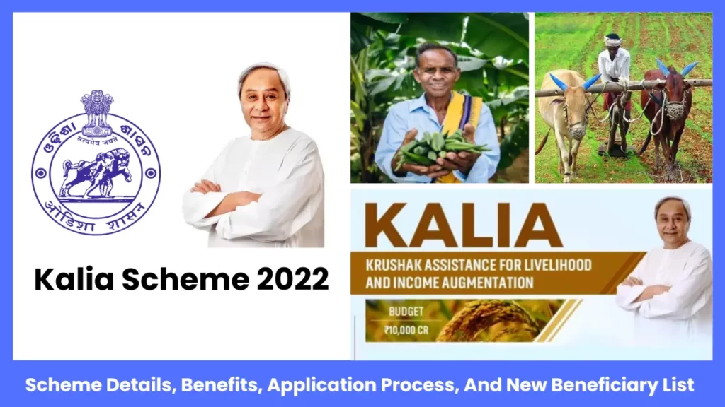 Kalia Scheme 2022
